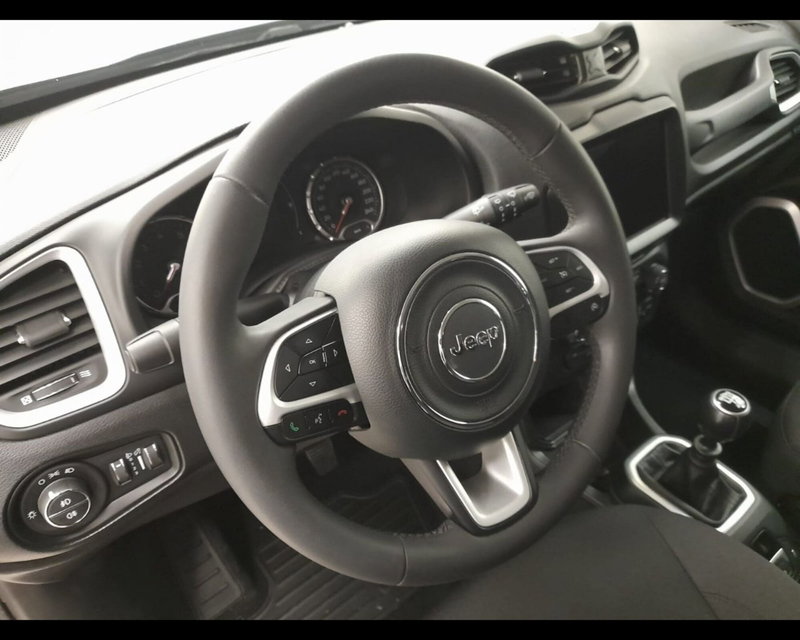 Jeep Renegade usata a Alessandria (9)