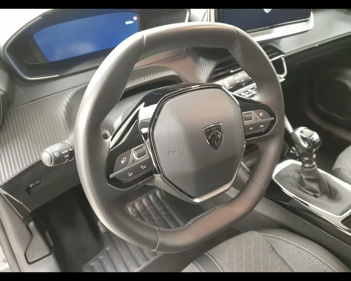 Peugeot 208 usata a Alessandria (10)