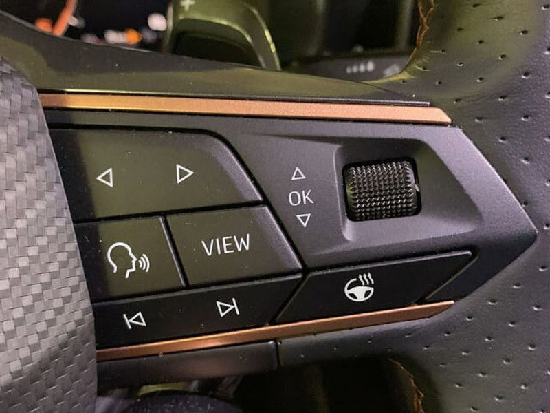 Cupra Formentor usata a Vicenza (10)