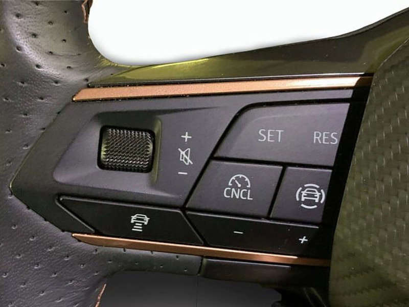 Cupra Formentor usata a Vicenza (11)