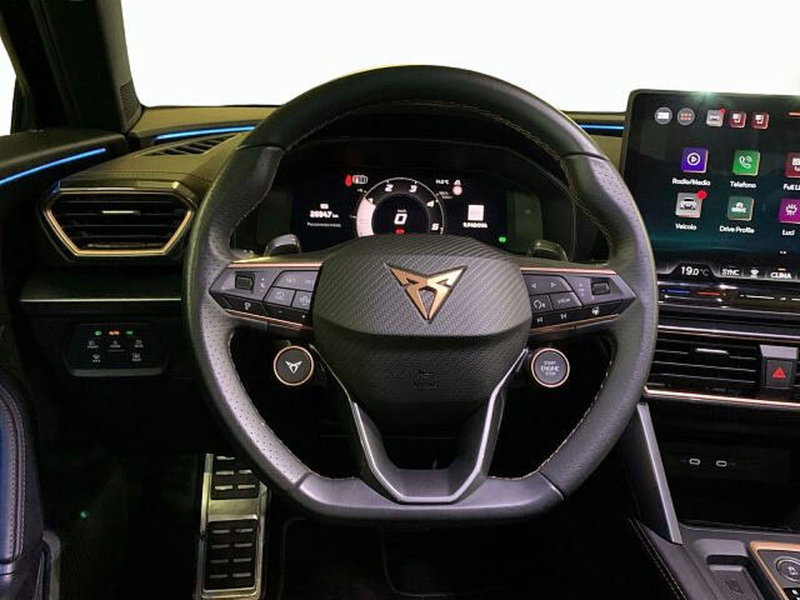 Cupra Formentor usata a Vicenza (9)