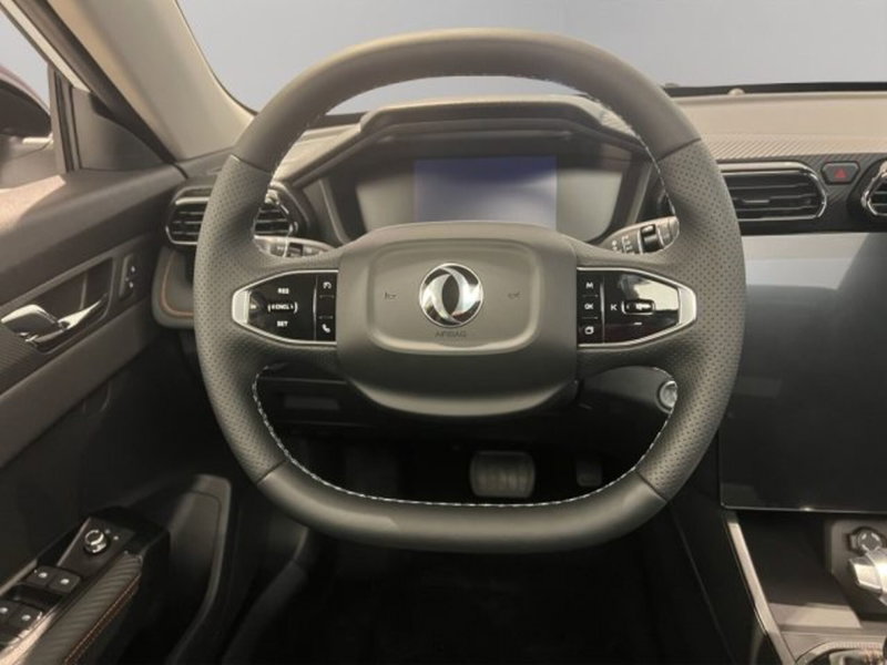 Dongfeng Shine GS  nuova a Perugia (11)