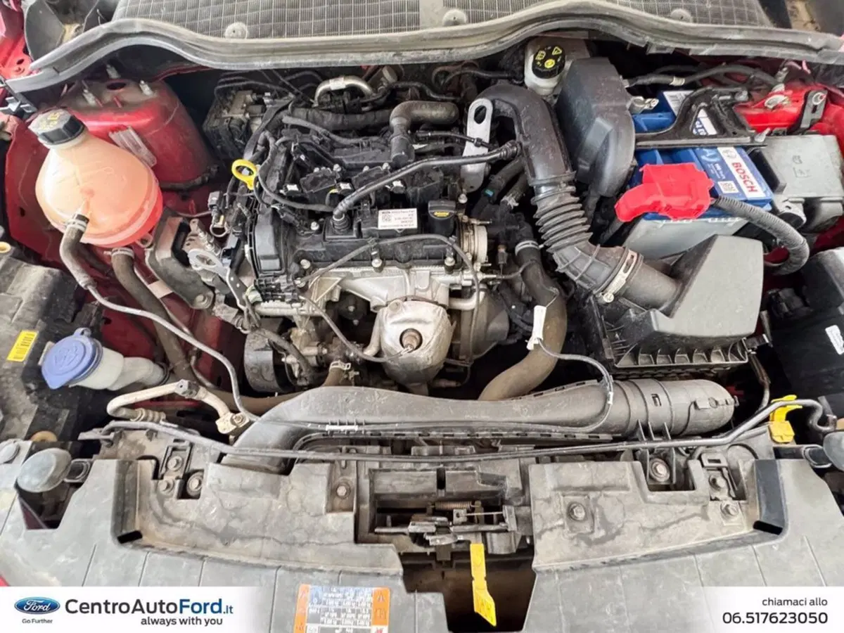 Ford Fiesta usata a Roma (11)