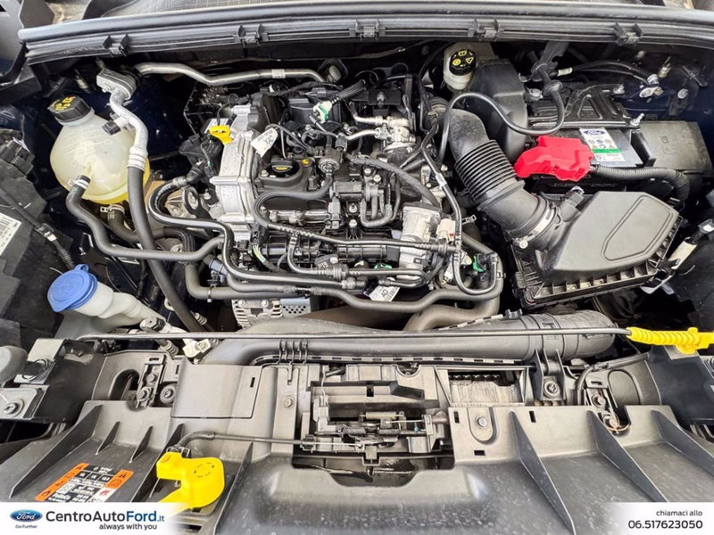 Ford Puma usata a Roma (12)