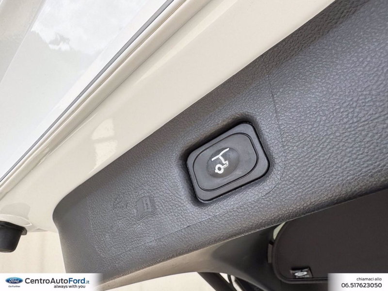 Ford S-Max usata a Roma (13)