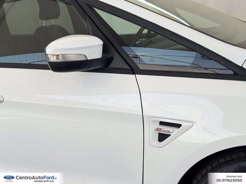 Ford S-Max usata a Roma (17)