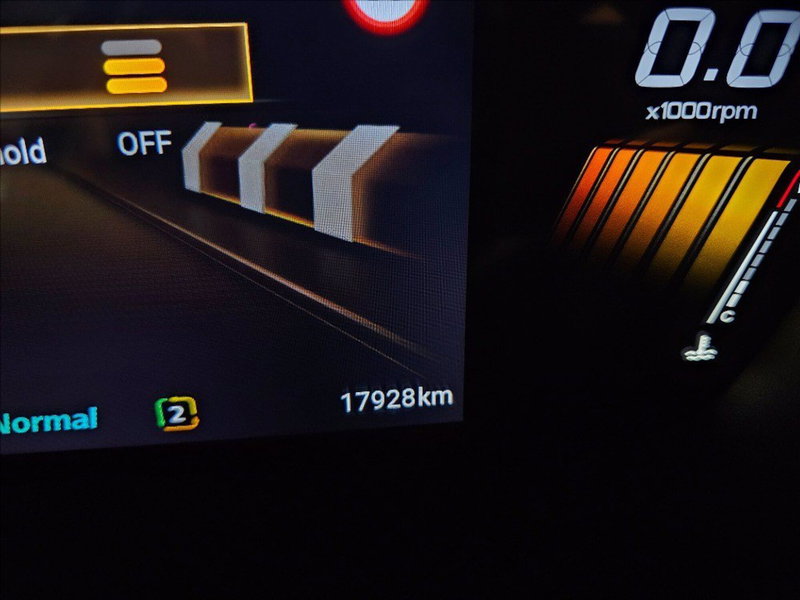 Mg ZS usata a Palermo (13)