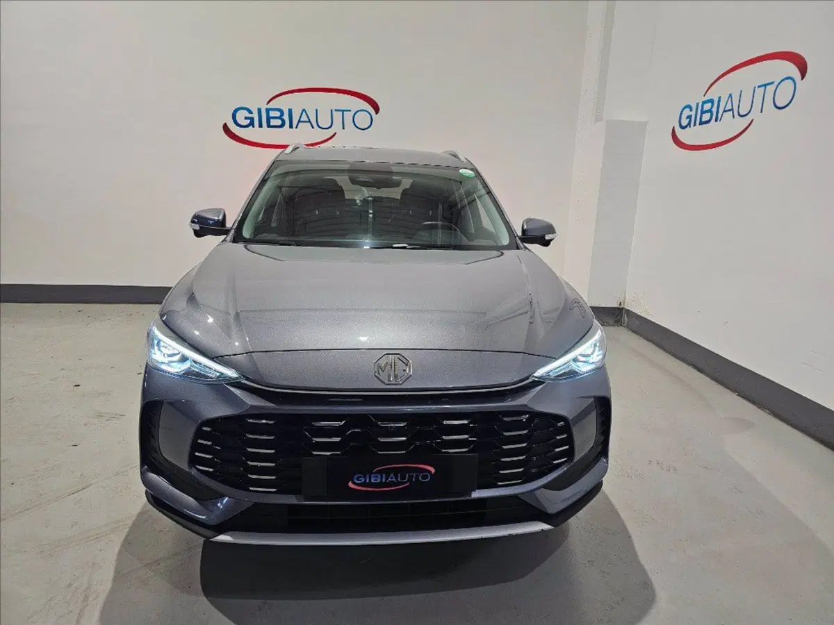 Mg ZS usata a Palermo (2)