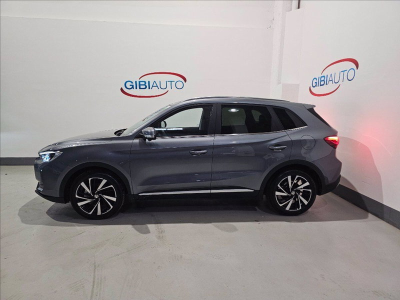 Mg ZS usata a Palermo (5)