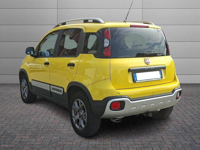 Fiat Panda Cross usata a Torino (2)