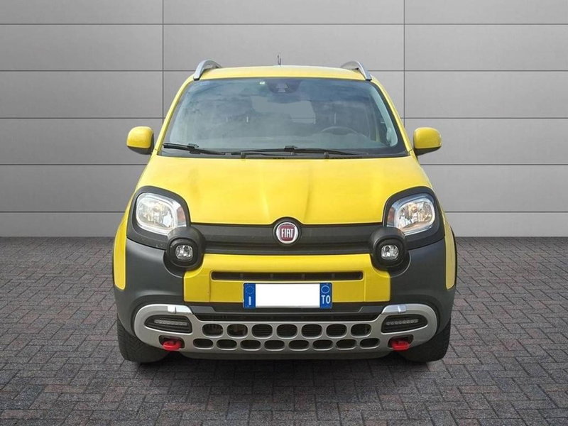 Fiat Panda Cross usata a Torino (3)