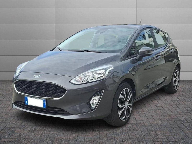 Ford Fiesta usata a Torino