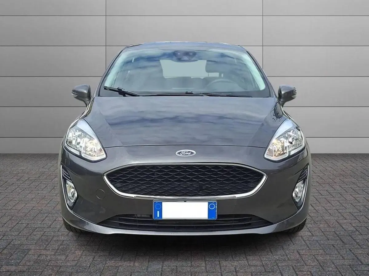 Ford Fiesta usata a Torino (3)