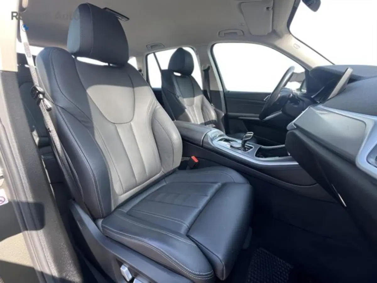 BMW X5 usata a Alessandria (9)