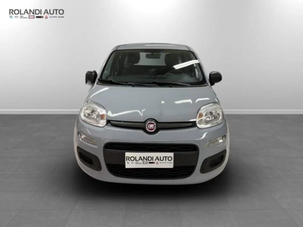 Fiat Panda usata a Alessandria