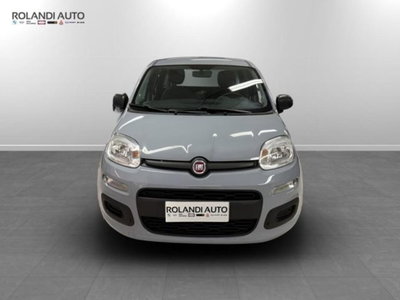Fiat Panda 1.2 EasyPower Lounge del 2020 usata a Alessandria