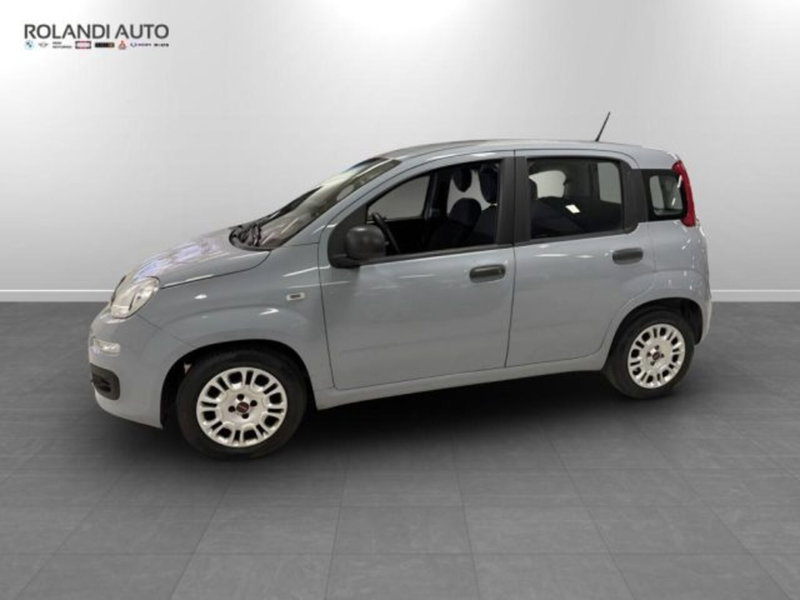 Fiat Panda usata a Alessandria (3)