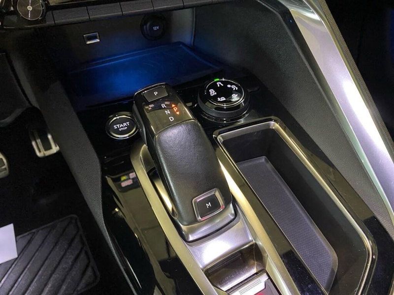 Peugeot 3008 usata a Torino (11)