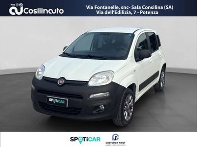 Fiat Panda 1.3 MJT 4x4 Pop Van 2 posti del 2016 usata a Sala Consilina