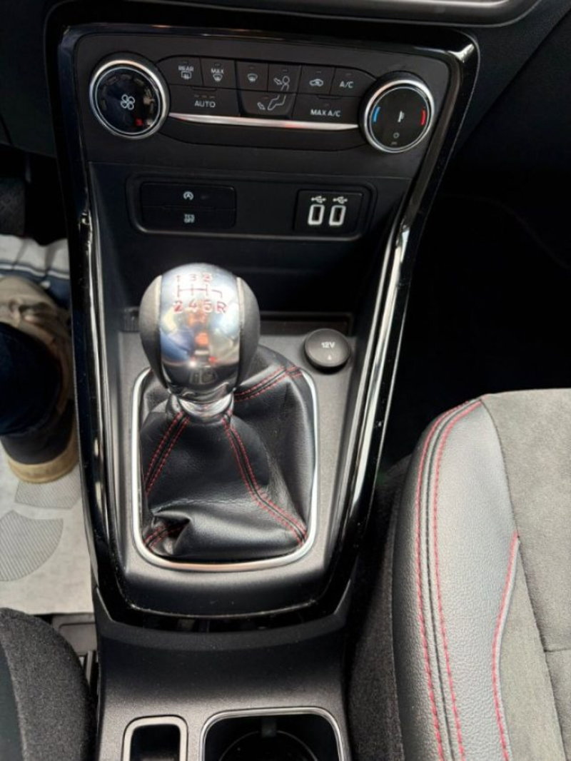 Ford EcoSport usata a Lodi (11)