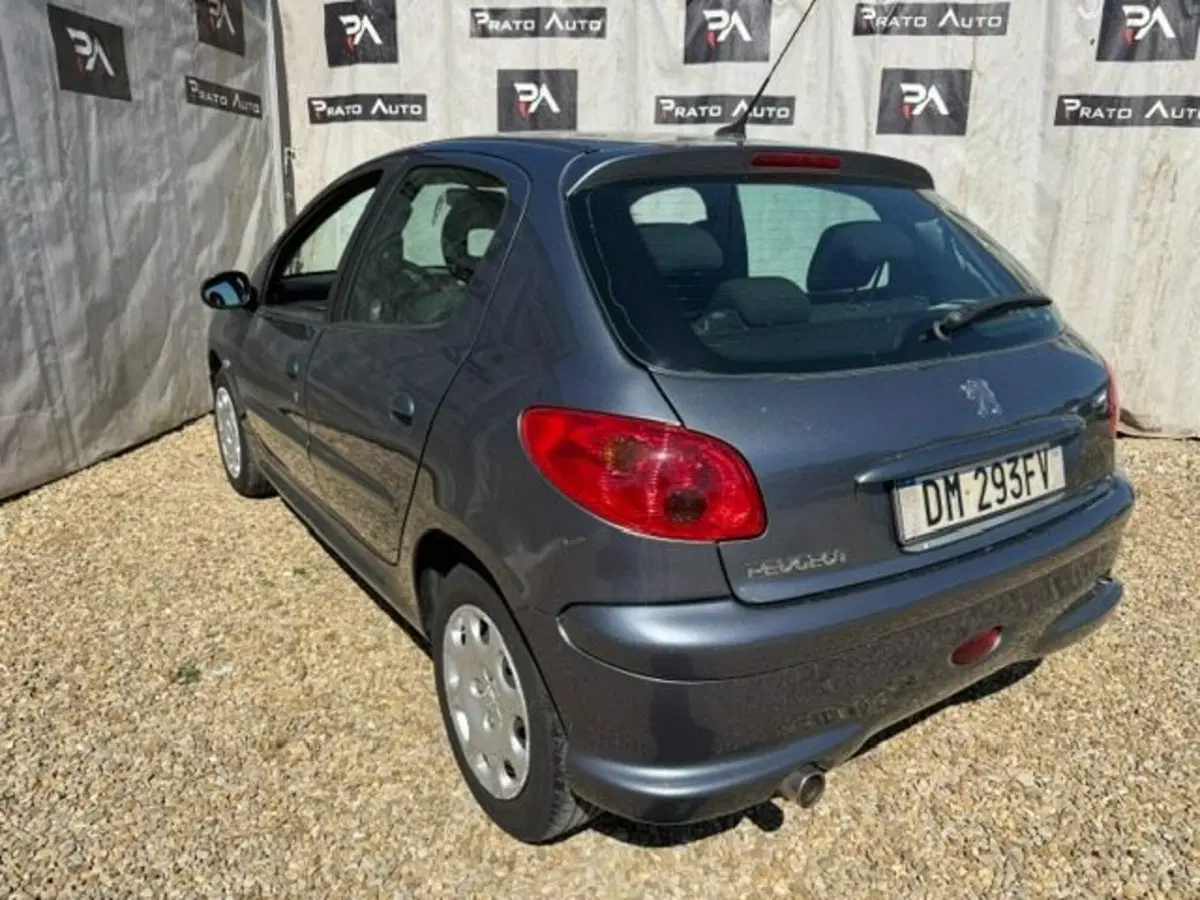 Peugeot 206 usata a Prato (2)
