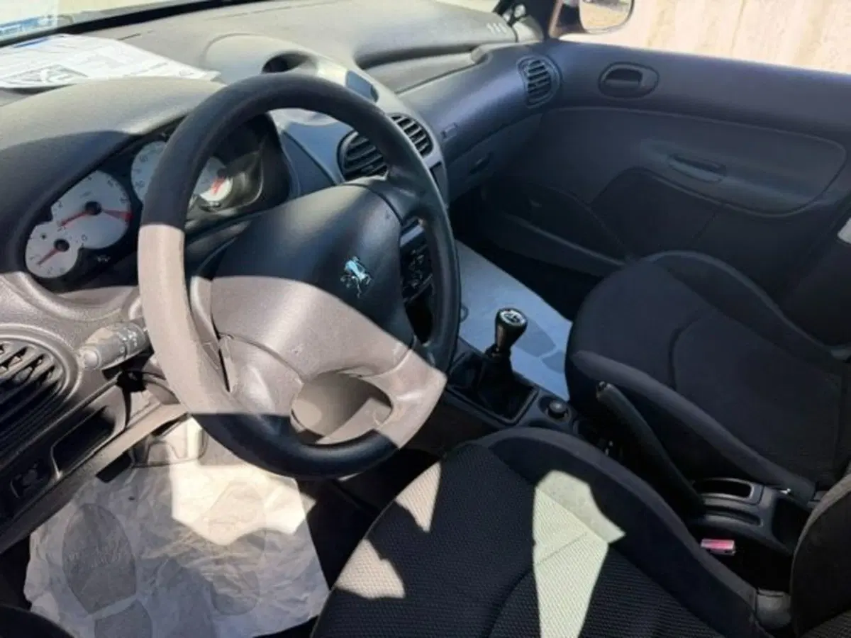 Peugeot 206 usata a Prato (5)