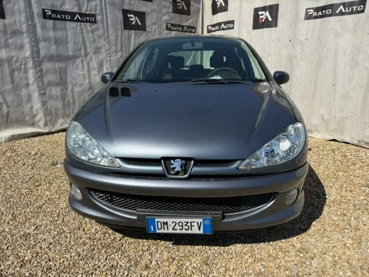 Peugeot 206 usata a Prato (8)