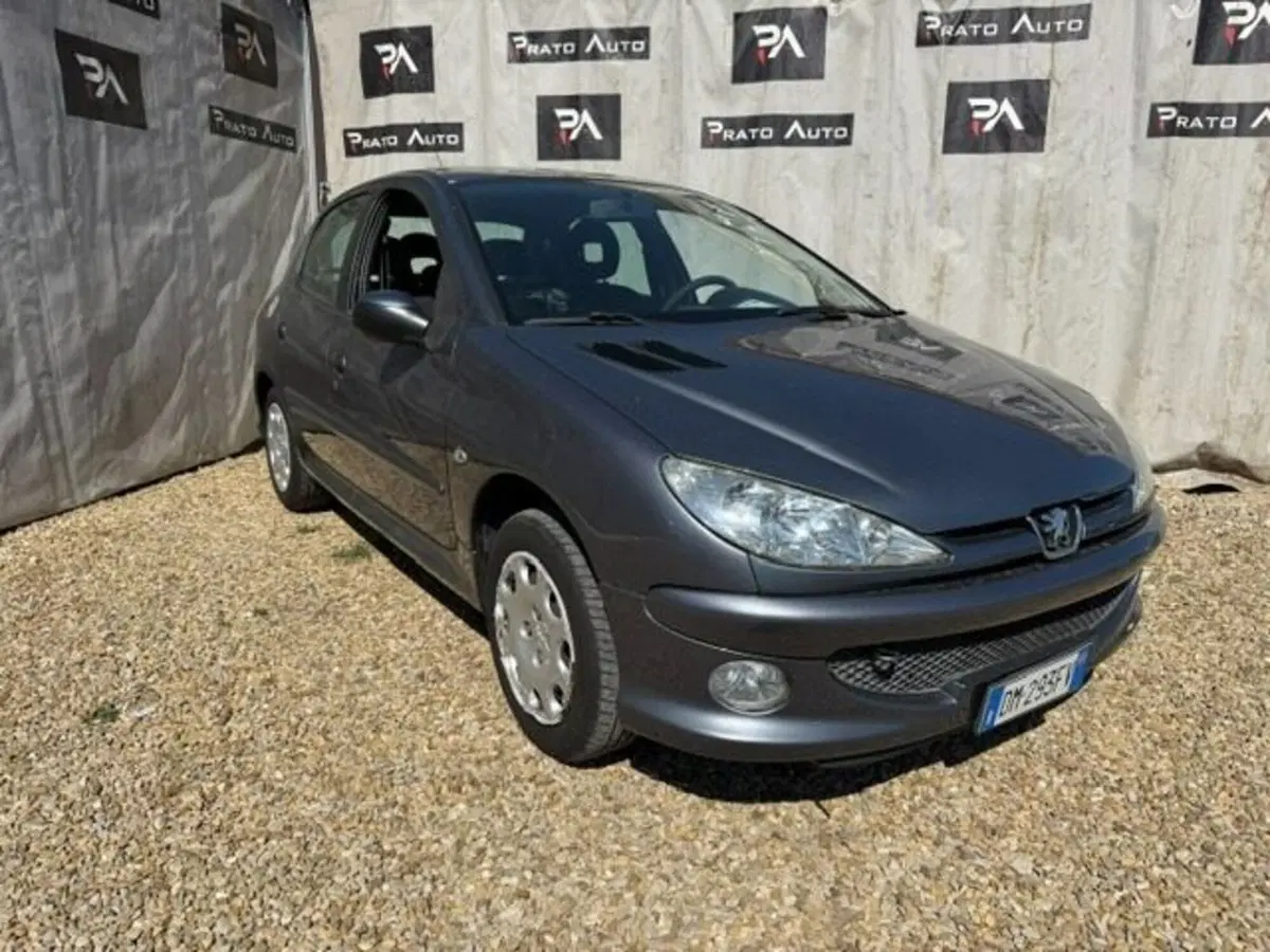 Peugeot 206 usata a Prato (9)