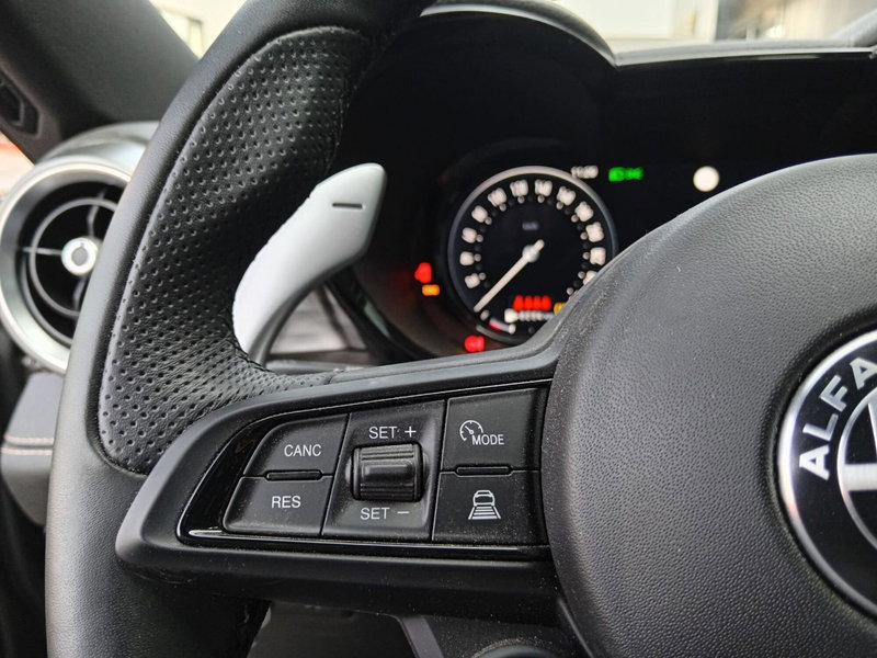 Alfa Romeo Tonale usata a Alessandria (17)