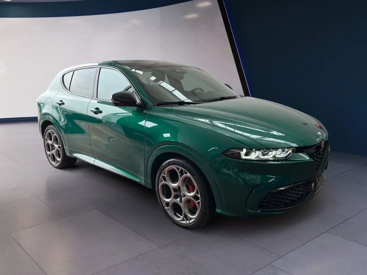 Alfa Romeo Tonale usata a Torino (3)