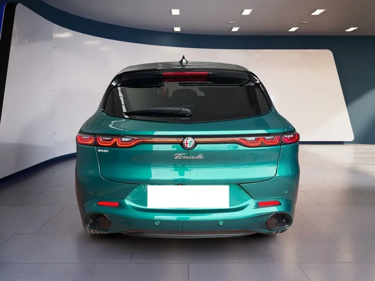 Alfa Romeo Tonale usata a Torino (5)