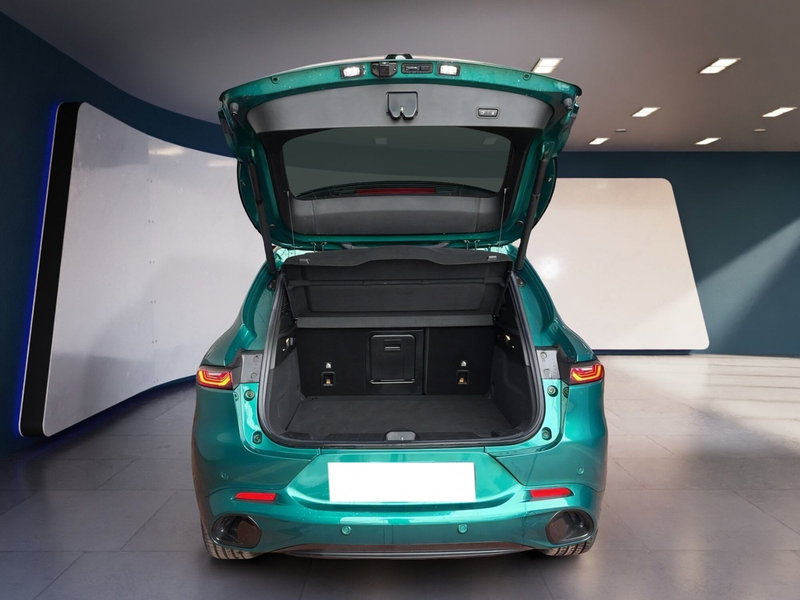 Alfa Romeo Tonale usata a Torino (6)