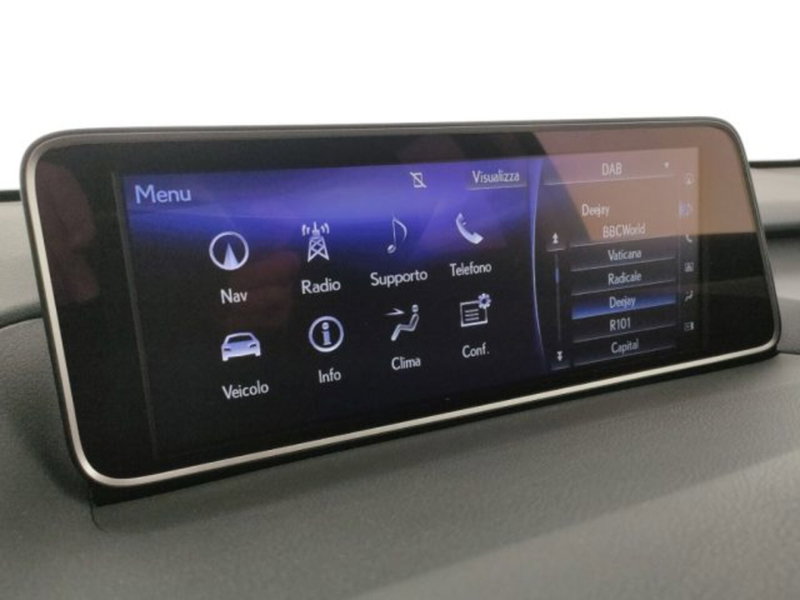 Lexus RX usata a Modena (15)