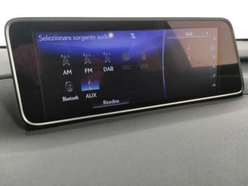 Lexus RX usata a Modena (17)