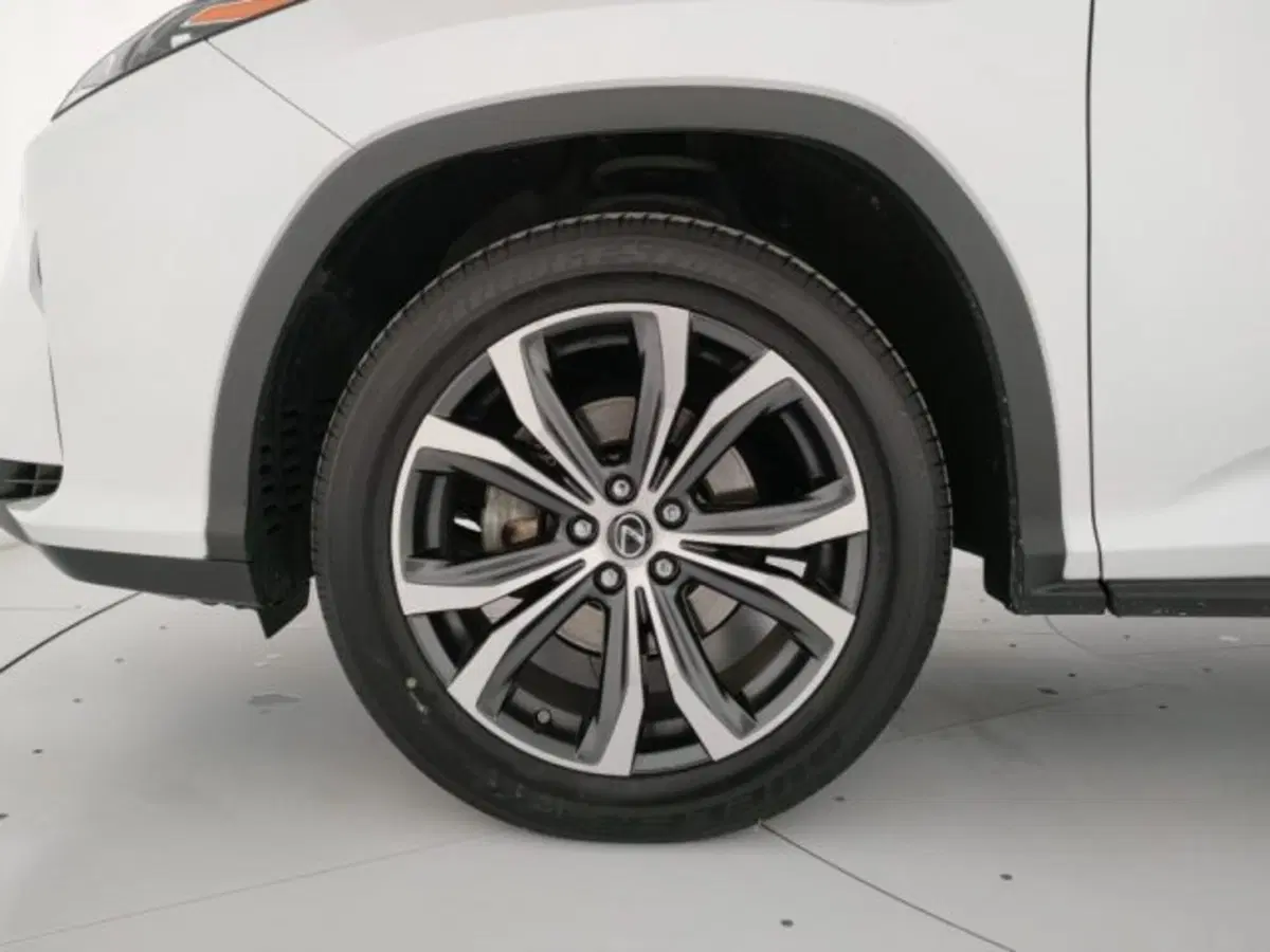 Lexus RX usata a Modena (8)