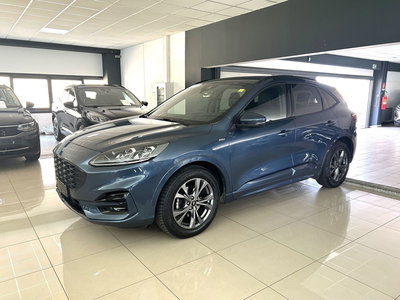 Ford Kuga 1.5 EcoBlue 120 CV 2WD ST-Line del 2022 usata a Ferrara