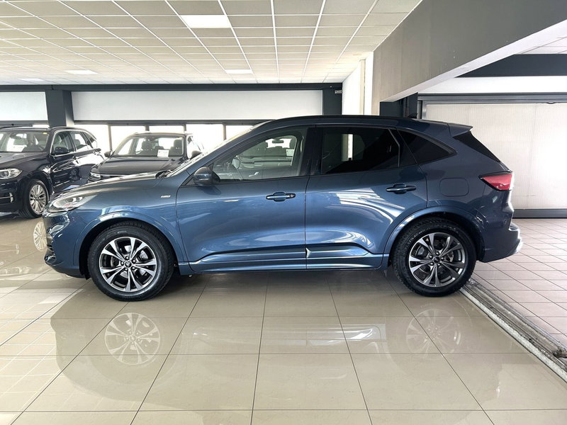 Ford Kuga usata a Ferrara (6)