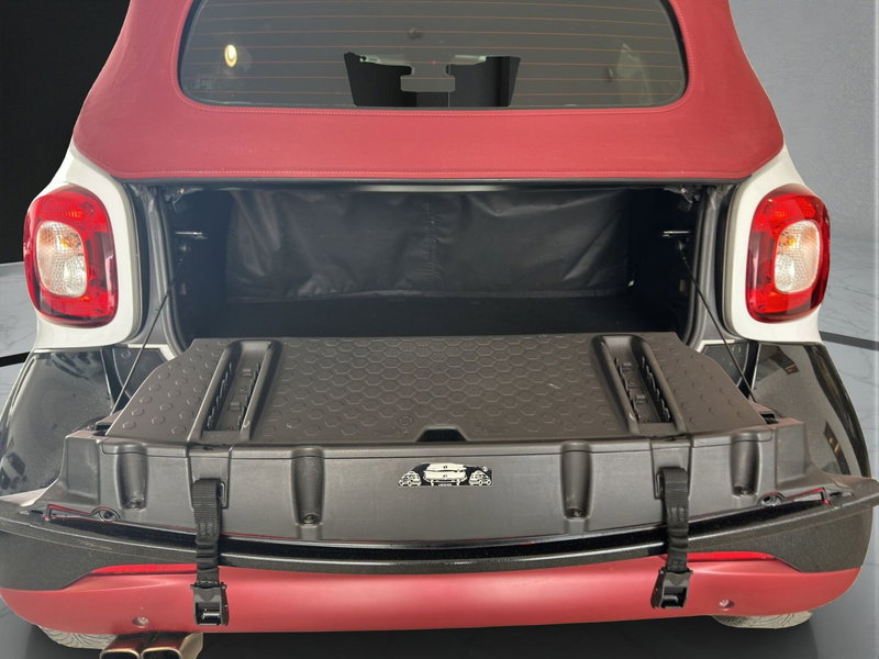 smart Fortwo Cabrio usata a Cosenza (20)