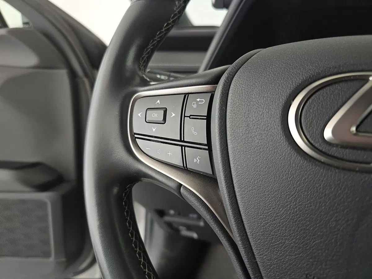 Lexus UX usata a Cuneo (10)