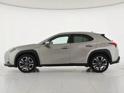 Lexus UX Hybrid 4WD Luxury del 2022 usata a Borgo San Dalmazzo