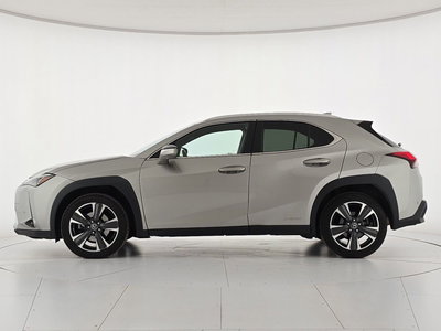 Lexus UX Hybrid 4WD Luxury del 2022 usata a Borgo San Dalmazzo