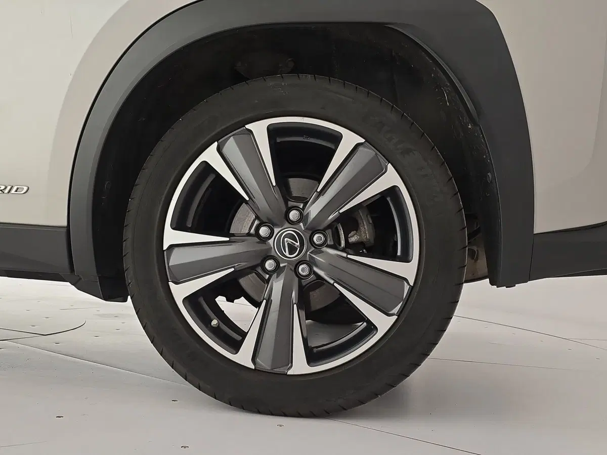 Lexus UX usata a Cuneo (3)