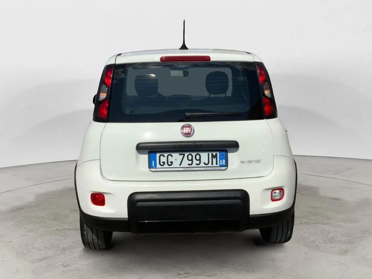 Fiat Panda Cross usata a Perugia (15)