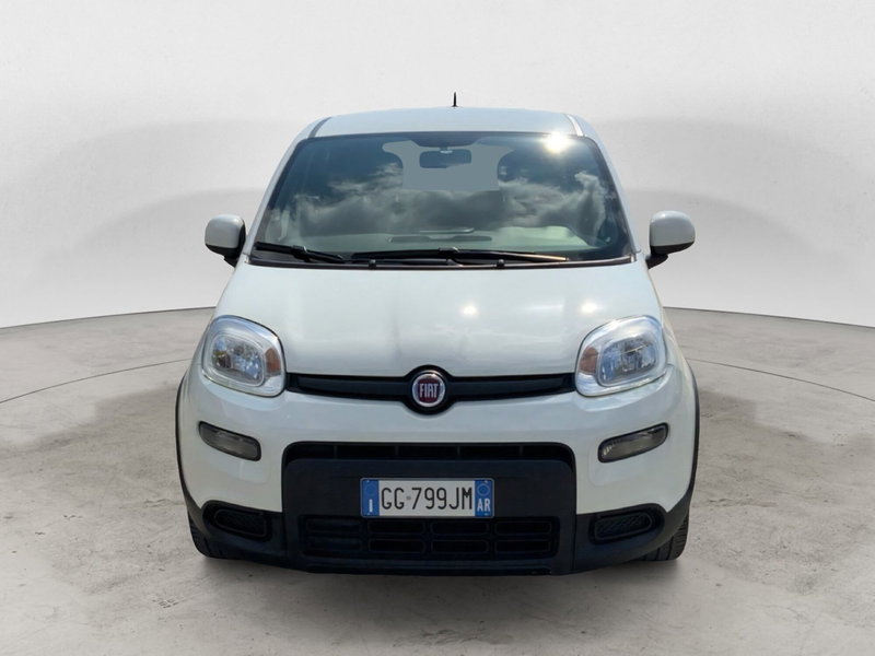 Fiat Panda Cross usata a Perugia (4)