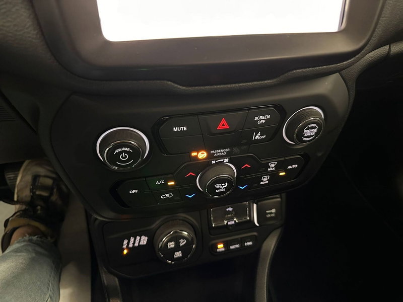 Jeep Renegade usata a Cuneo (15)