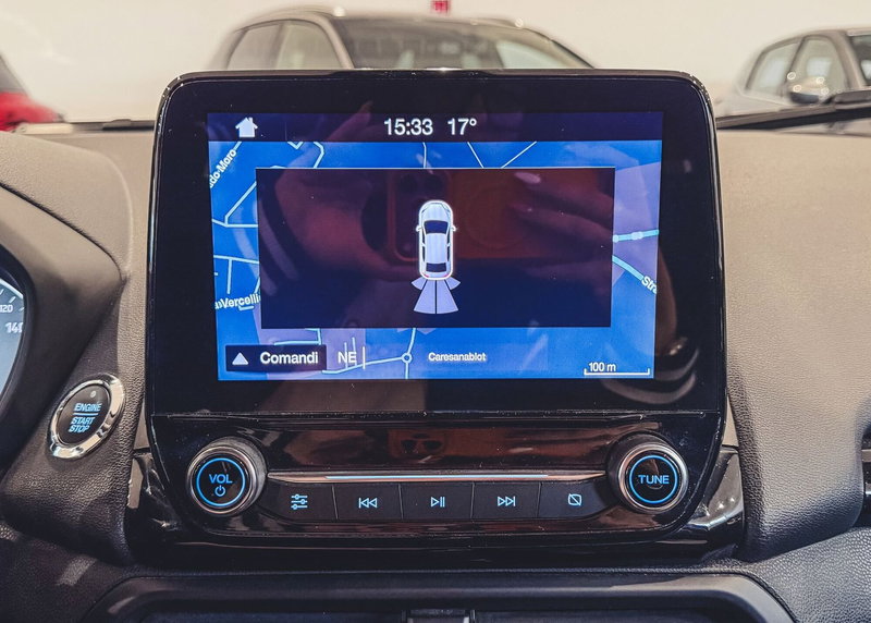 Ford EcoSport usata a Vercelli (11)