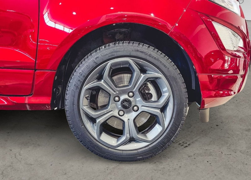 Ford EcoSport usata a Vercelli (5)