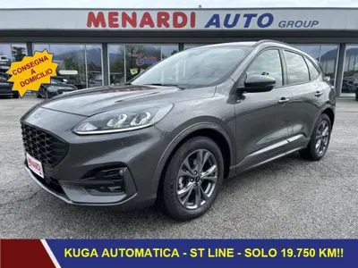 Ford Kuga 1.5 EcoBlue 120 CV 2WD ST-Line del 2024 usata a Bernezzo