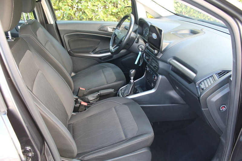 Ford EcoSport usata a Cuneo (9)