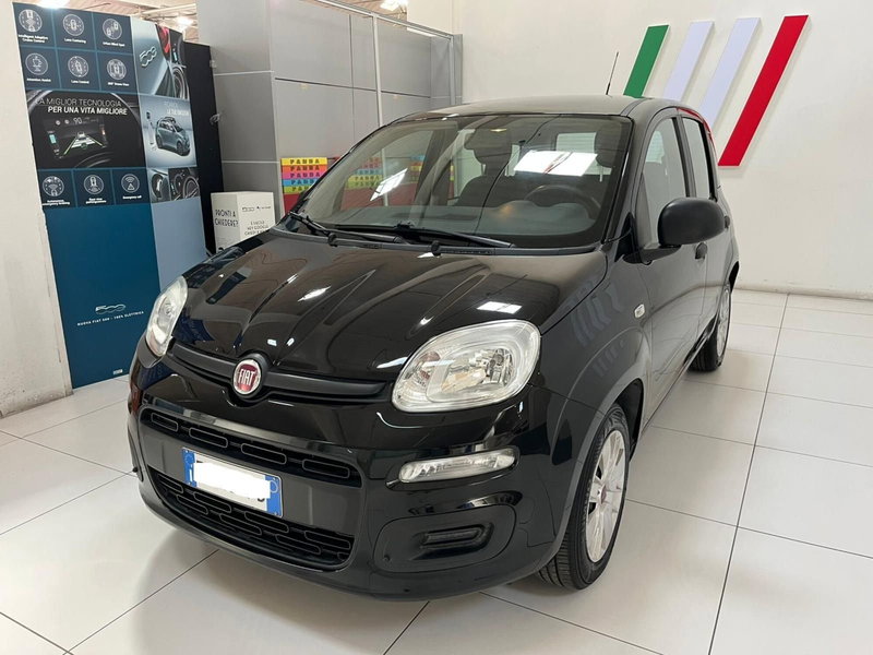 Fiat Panda usata a Lucca